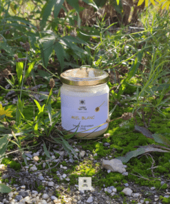 Pot de miel blanc du Kirghizistan
